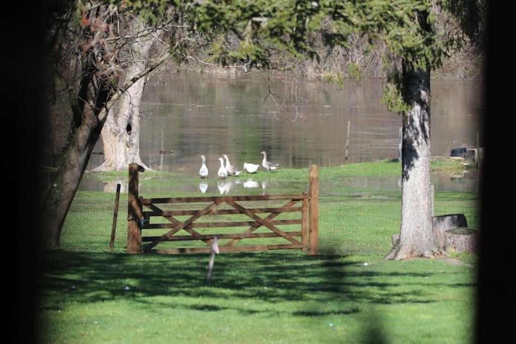 Le Ponton Des Sympetrums Aurec-Sur-Loire Екстериор снимка