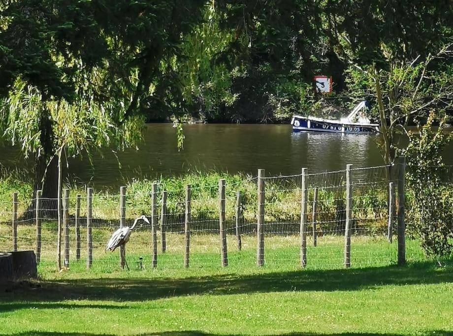 Le Ponton Des Sympetrums Aurec-Sur-Loire Екстериор снимка